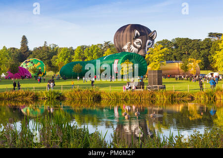 Heißluftballons die Vorbereitung für die morgen Masse Aufstieg in Longleat Sky Safari, Wiltshire, UK im September Stockfoto