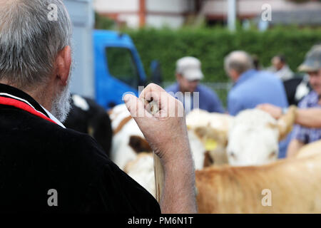 Sumiswald, Schweiz, 14. September 2018: Nahaufnahme von einem Landwirt von hinten nach der Parade im Dorf Sumiswald im Kanton Bern Der aut Stockfoto