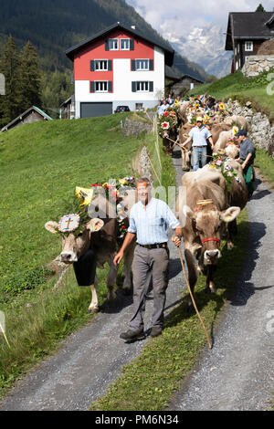 Wassen, Schweiz, 15. September 2018: Feierliche Fahren von Rindern von den Almen Susten ins Tal von Wassen im Kanton Uri in Stockfoto