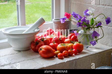 Verschiedene TOMATEN REIFEN AUF KÜCHE FENSTERBANK Gloucestershire England Großbritannien Stockfoto