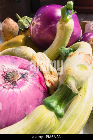 Rohes Gemüse, große Zwiebel, reife Auberginen Auberginen, Kartoffeln, Paprika, Gelb, Grün und Violett Stockfoto