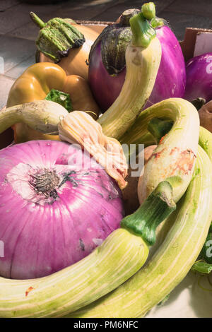 Rohes Gemüse, große Zwiebel, reife Auberginen Auberginen, Kartoffeln, Paprika, Gelb, Grün und Violett Stockfoto