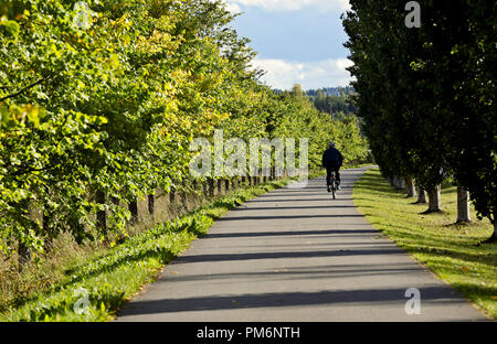 Ein Radfahrer auf leeren Gehweg im Herbst Stockfoto