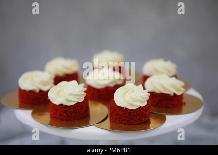Schöne festliche Kuchen Keks mit verschiedenen Cremes Stockfoto