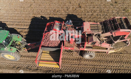 Kartoffeln ernten Maschine mit Traktor in Ackerland zur Ernte von Kartoffeln. Landmaschinen Ernte von Kartoffeln. Stockfoto