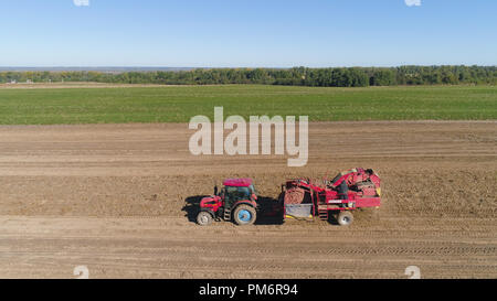 Kartoffeln ernten Maschine mit Traktor in Ackerland zur Ernte von Kartoffeln. Landmaschinen Ernte von Kartoffeln. Stockfoto