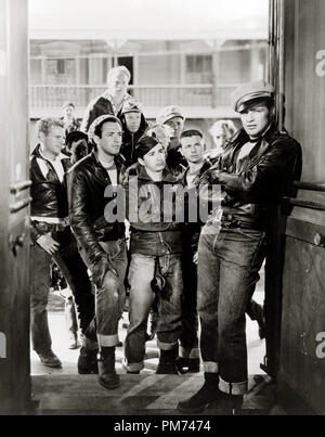 Marlon Brando, "Der Wilde" 1953 Columbia Datei Referenz # 30928 039 THA Stockfoto