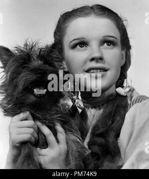 Studio Werbung immer noch: "Der Zauberer von Oz' Judy Garland und Toto 1939 MGM Datei Referenz # 30928 1216 THA Stockfoto