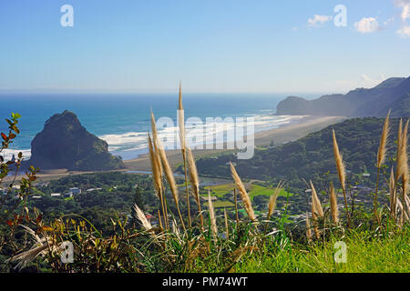 Blick auf den schwarzen Sand Piha Beach in der Nähe von Auckland auf der Nordinsel, Neuseeland Stockfoto