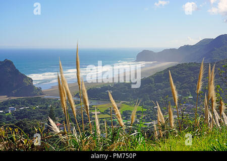 Blick auf den schwarzen Sand Piha Beach in der Nähe von Auckland auf der Nordinsel, Neuseeland Stockfoto