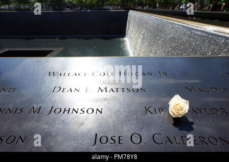 Weiße Rose Kennzeichnung der Geburtstag der Opfer des 11. September der Terroranschlag auf die Twin Towers. Die nationalen Denkmal 9/11. Lower Manhattan. New York City, USA. Stockfoto