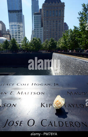 Weiße Rose Kennzeichnung der Geburtstag der Opfer des 11. September der Terroranschlag auf die Twin Towers. Die nationalen Denkmal 9/11. Lower Manhattan. New York City, USA. Stockfoto