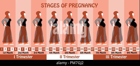 Schwangerschaft Stadien der Schwangerschaft muslimische Frau mit Kopftuch und Transparente langes Kleid. Alle Objekte und Körper Phasen sind in verschiedenen Schichten und der Text Stock Vektor