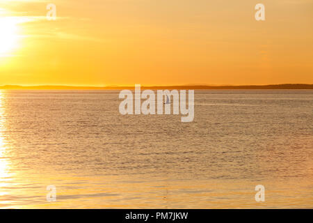 Seagull Silhouette über dem Meer bei Sonnenuntergang. Idee der Harmonie und Ruhe. Stockfoto