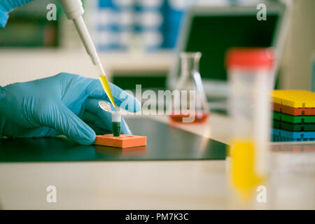 PCR-Streifen in der genetischen Labor Stockfoto