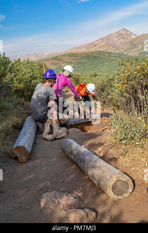 Georgetown, Colorado - die Freiwilligen erhalten die Mt. Bierstadt Trail im Mt. Evans Wilderness Area. Sie arbeiten durch die gemeinnützige Colorado F Stockfoto