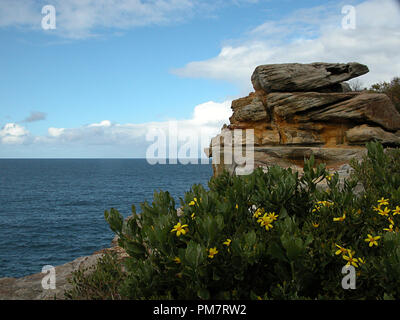 Dunbar Kopf: Sandstein Bluff mit Blick auf den Ozean auf die Lücke Park, Watsons Bay, Sydney, NSW, Australiacliffs Stockfoto