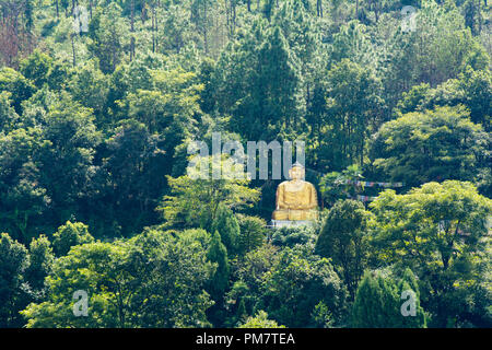 Golden Buddha Statue in Godawari, Nepal entfernt Stockfoto