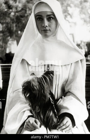 Audrey Hepburn und ihr Hund "berühmte" während der Dreharbeiten zu "Geschichte einer Nonne", 1959. Datei Referenz # 31386 796 THA Stockfoto