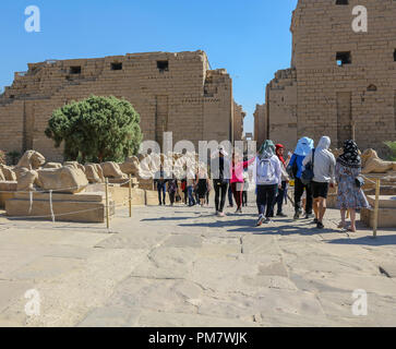 Ram Head Sphingen an den ersten Pylon oder Eingang der Karnak Tempel Komplex, allgemein bekannt als Karnak, Luxor, Ägypten Stockfoto