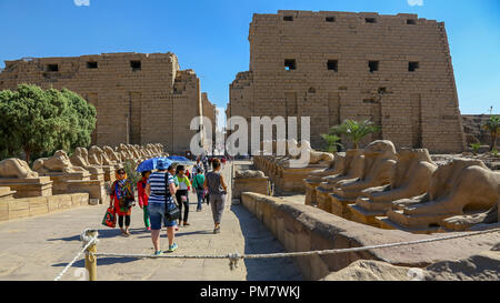 Ram Head Sphingen an den ersten Pylon oder Eingang der Karnak Tempel Komplex, allgemein bekannt als Karnak, Luxor, Ägypten Stockfoto