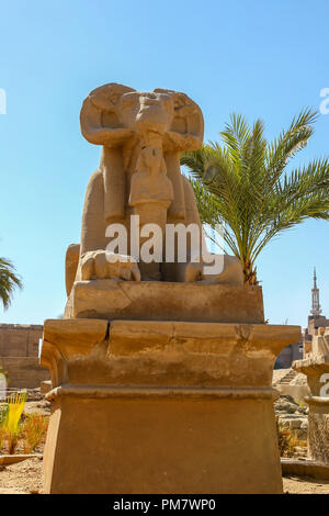 Nahaufnahme eines Ram vorangegangen Sphinx auf der Karnak Tempel Komplex, die gemeinhin als Karnak, Luxor, Ägypten bekannt Stockfoto