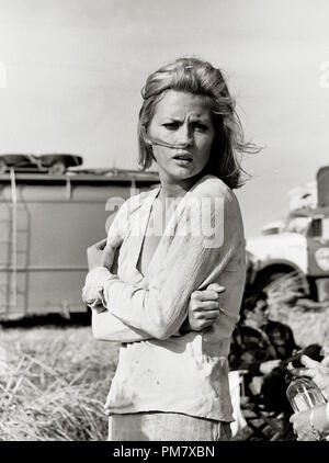 Studio Publicity still aus „Bonnie and Clyde“ Faye Dunaway 1967 Warner File Reference # 31537 669THA Stockfoto