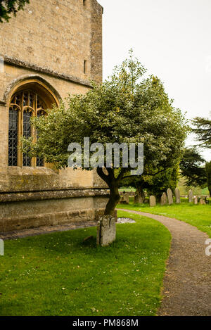 Gotisches Fensterwerk von St. Michaels und All Angle Church in Guiting Power, England. Stockfoto