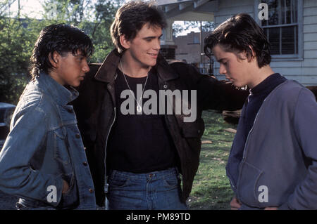 Studio Werbung immer noch von der "Außenseiter" Ralph Macchio, Matt Dillon, C. Thomas Howell © 1982 Warner Alle Rechte vorbehalten Datei Referenz # 31710069 THA für die redaktionelle Nutzung nur Stockfoto