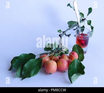 Wilde Äpfel mit lebendigen Farben auf einem Zweig und hausgemachte Marmelade auf weißem Hintergrund Stockfoto