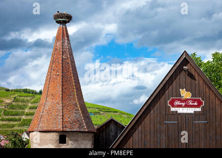 Storchennest auf einem Dach, Pinnacle, mit Weinbergen jenseits, Ribeauville, Haut-Rhin, Alsace, France Stockfoto