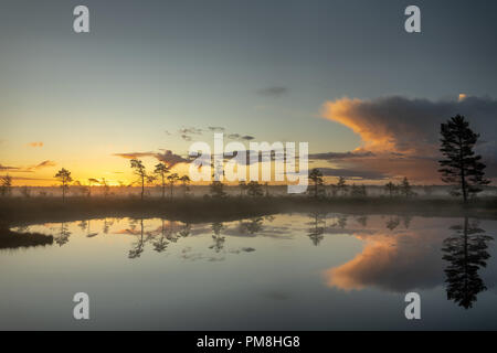 Das Licht der aufgehenden Sonne beginnt, durch die dicken Nebelwand zu durchbohren, die das Moor Landschaft bei nigula Naturschutzgebiet in Estland Stockfoto