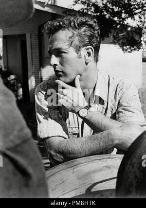 (Archivierung klassische Kino - Paul Newman Retrospektive) Paul Newman, ca. 1963 Datei Referenz # 31510 004 THA Stockfoto