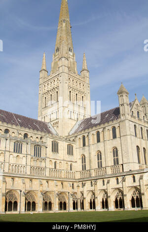 Norwich Kathedrale Stockfoto