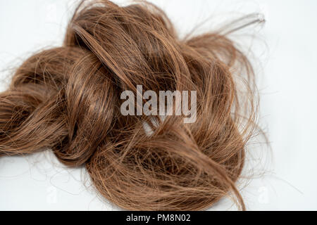 Braun Brünett Haare auf weißem Hintergrund. Haar in einem Stapel, verwirrte Stockfoto