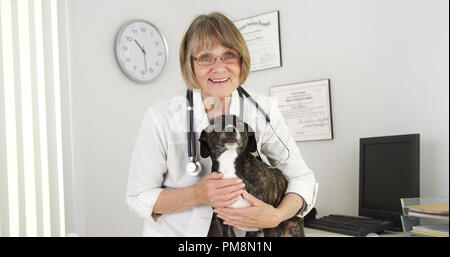 Portrait von Happy weiblich Tierarzt und niedlichen Hund Stockfoto