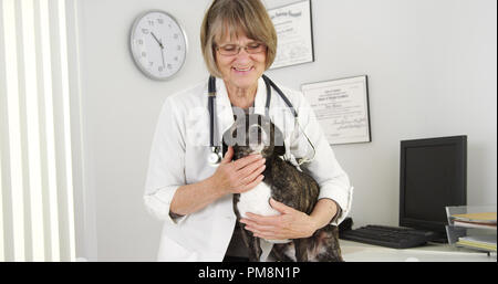 Portrait von Happy weiblich Tierarzt und niedlichen Hund Stockfoto