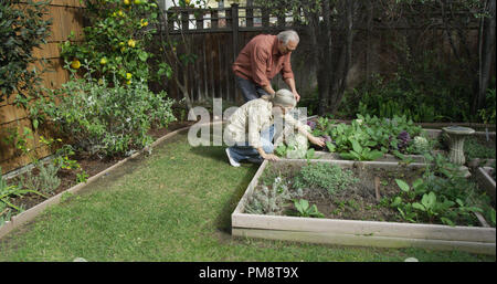 Senioren im Garten arbeiten zusammen Stockfoto