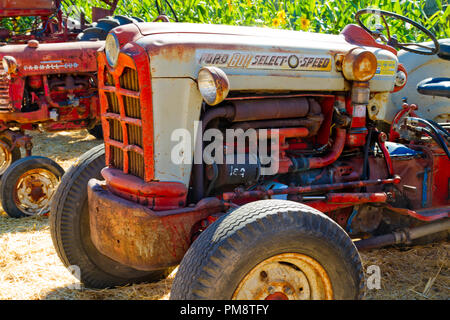 Antike Ford Tractorfar Stockfoto