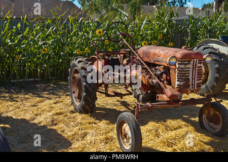 Antike McCormick Traktor Stockfoto