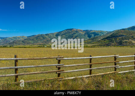 Split Schiene Zaun, Steamboat Springs Colorado Stockfoto