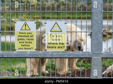 Ein Warnschild erinnern Personal die Sicherheit der Polar zu prüfen Bären am Yorkshire Wildlife Park, Doncaster, Großbritannien. Stockfoto