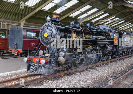 Romney, Hythe & Dymchurch Railway, New Romney, Kent, Großbritannien Stockfoto