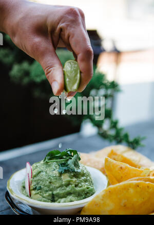 Tex-Mex trifft auf gehobene Küche mit maßgeschneiderten Keramikplatten mit traditionellen Tex-Mex-Gerichten wie Tamales, Mole, Flautas, Quesedillas und Nachos. Stockfoto