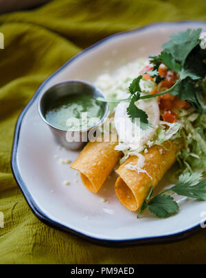 Tex-Mex trifft auf gehobene Küche mit maßgeschneiderten Keramikplatten mit traditionellen Tex-Mex-Gerichten wie Tamales, Mole, Flautas, Quesedillas und Nachos. Stockfoto