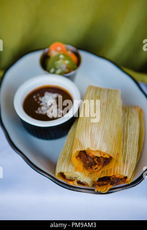 Tex-Mex trifft auf gehobene Küche mit maßgeschneiderten Keramikplatten mit traditionellen Tex-Mex-Gerichten wie Tamales, Mole, Flautas, Quesedillas und Nachos. Stockfoto