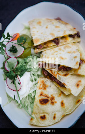 Tex-Mex trifft auf gehobene Küche mit maßgeschneiderten Keramikplatten mit traditionellen Tex-Mex-Gerichten wie Tamales, Mole, Flautas, Quesedillas und Nachos. Stockfoto