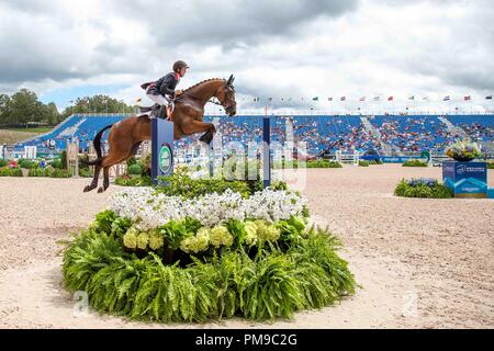 Tom Mcewan. Toledo de Kerser. GBR. Dressurreiten Springreiten Tag 6. World Equestrian Games. WEG 2018 Tryon. North Carolina. USA. 17.09.2018. Stockfoto