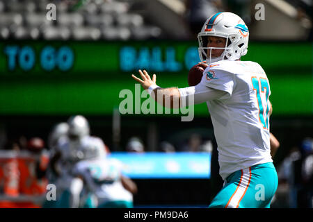 East Rutherford, NJ, USA. 16 Sep, 2018. Miami Dolphins Quarterback Ryan Tannehill (17) nach dem Aufwärmen vor dem Spiel zwischen den New York Jets und die Miami Dolphins an Met Life Stadion in East Rutherford, NJ. Obligatorische Credit: Kostas Lymperopoulos/CSM/Alamy leben Nachrichten Stockfoto