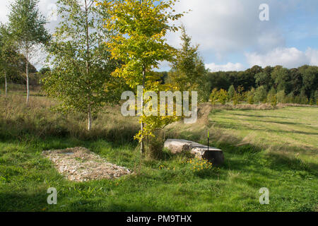 Einfache Grab an Clandon Holz Nature Reserve & Natürliche Gräberfeld in Surrey, Großbritannien Stockfoto